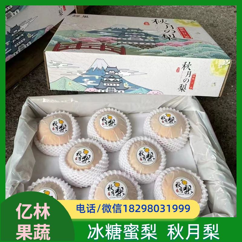 基地供应 根系饱满成活率高 晚熟品种梨 口感脆甜 红早酥梨树苗