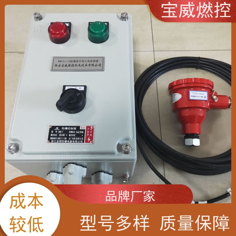 宝威燃控 天然气隧道窑火焰探测器 可非标加工 2868光敏管