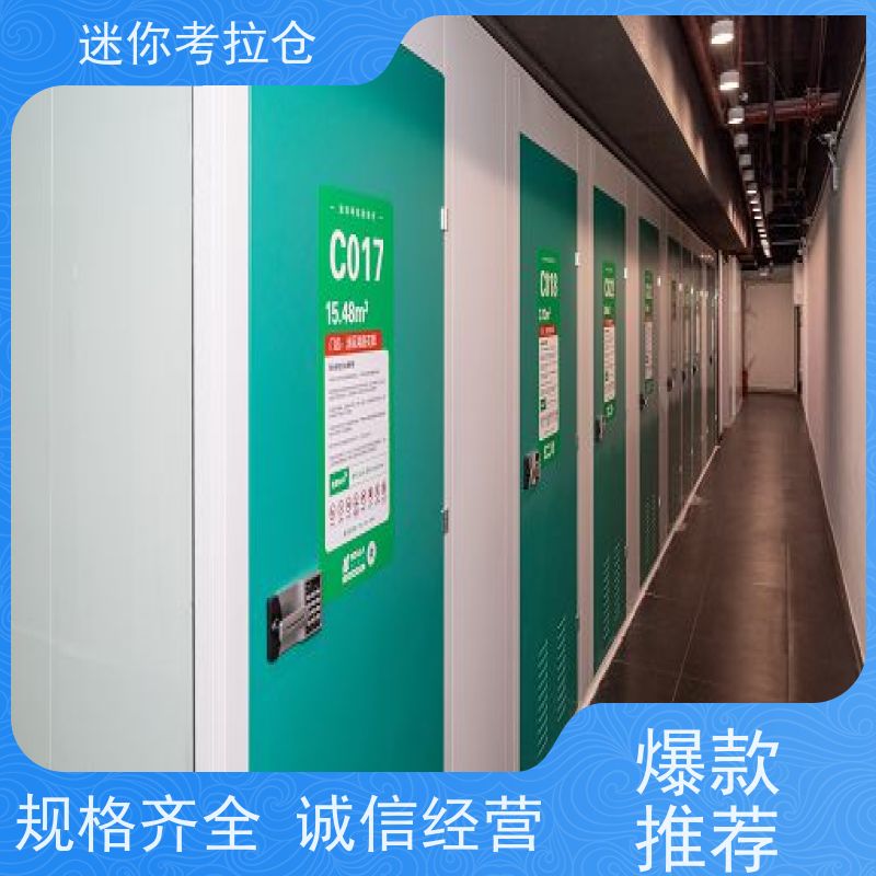 迷你考拉仓库小仓房深圳支持定制详情电联电话