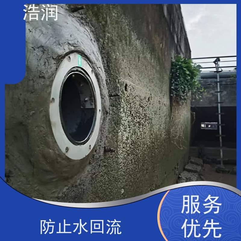 浩润 管中型回流止水阀 拍门 雨污分流 智能截流 支持加工定制