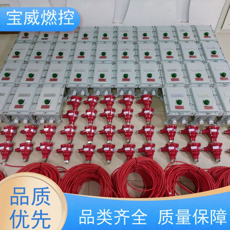 宝威燃控 生产加工发货速度快 在线火焰检测仪 远距离防爆