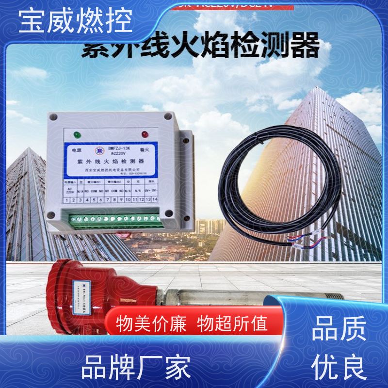 宝威燃控 开关量信号 裂解炉/焚烧炉火焰检测器 生产厂家