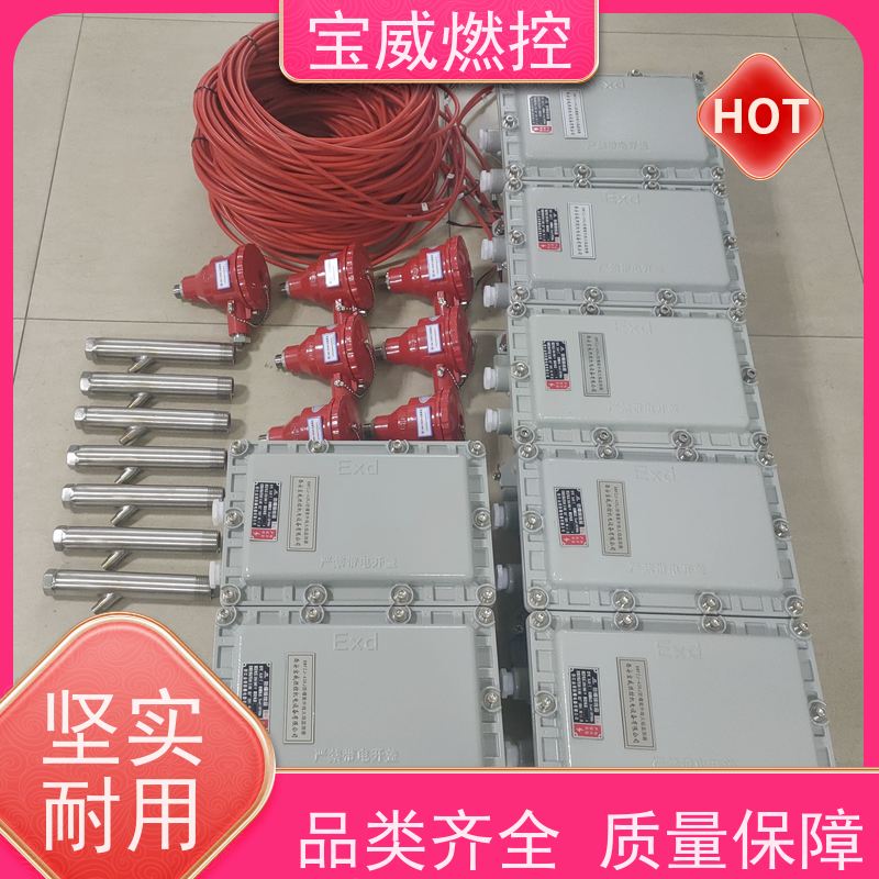 宝威燃控 燃气燃油锅炉火焰检测器 2868光敏管 可非标加工 防爆分体式