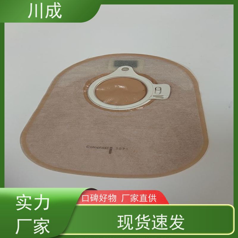 川成 厂家直供 质量稳定可靠 造口袋全自动化生产线 高周波设备