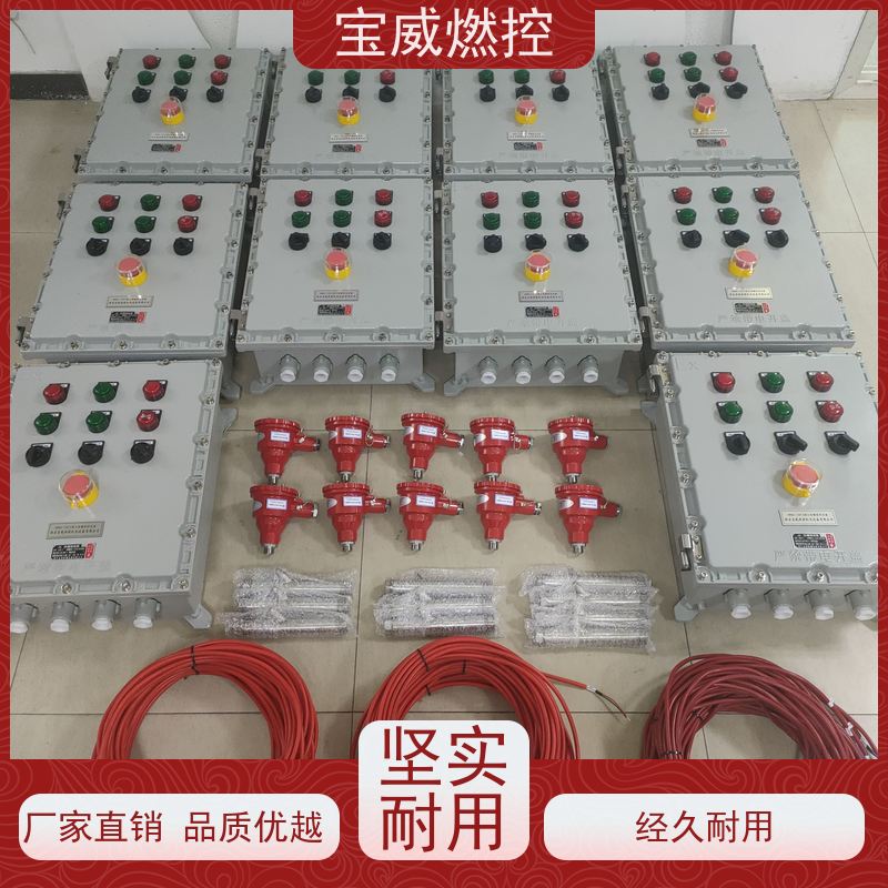 宝威燃控 厂家供货常备库存 快速响应 工业炉膛火焰监测器 防爆分体式