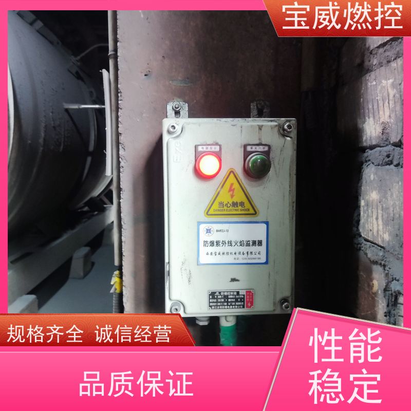 宝威燃控 可非标加工 开关量信号输出 工业炉膛火焰监测器 防爆分体式