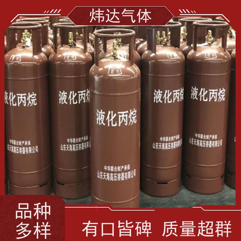 轻量化设计 炜达气体丙烷（石油气）车载燃料 迷你罐体便携装