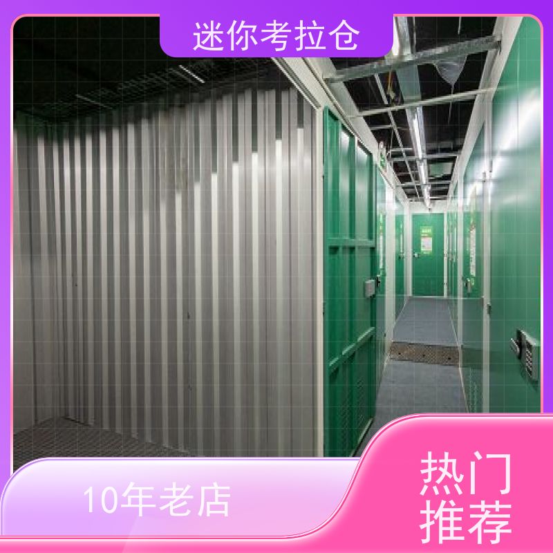 迷你考拉仓库闲置物存放处深圳支持定制详情电联大小
