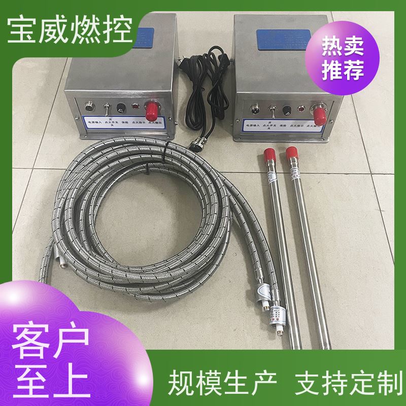 宝威燃控裂解炉电子点火装置厂家直供输出DC2500V 储能20焦耳
