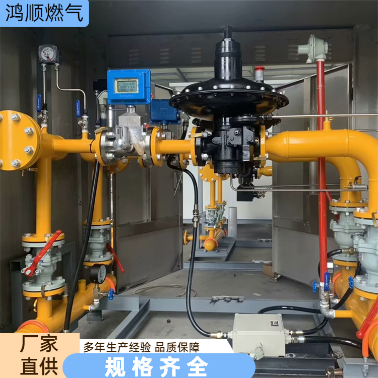 鸿顺 厂家供应 RX800燃气调压柜 系统简单方便灵活 按需定制