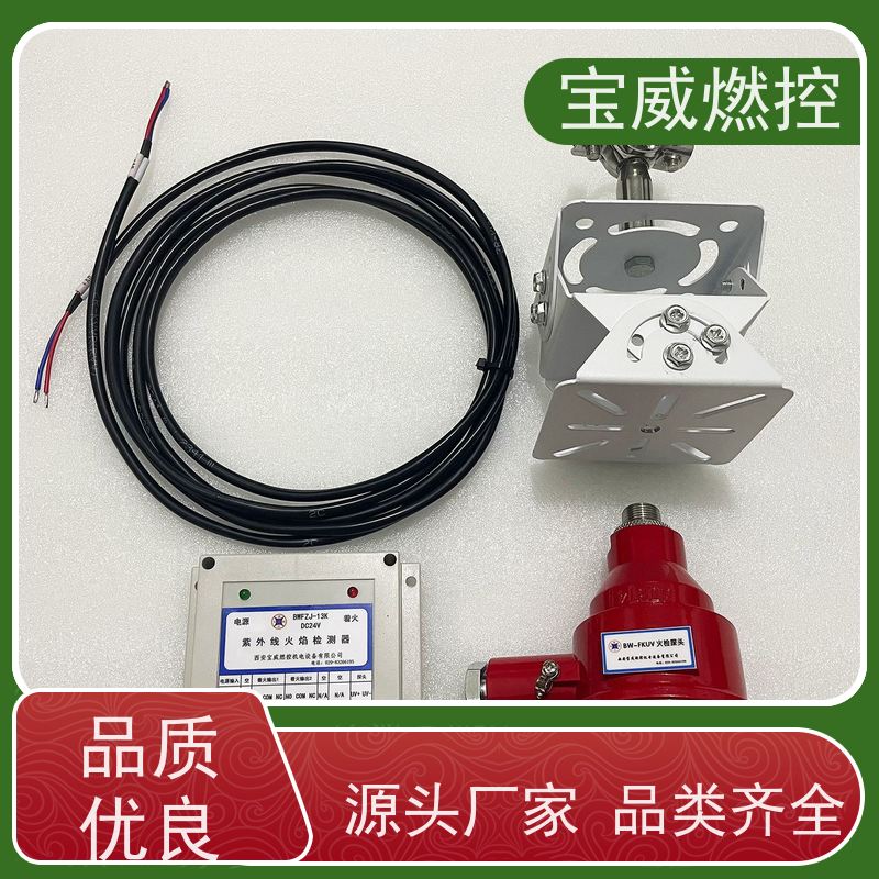 内燃封闭式沼气火炬火焰检测器 紫外线型开关量信号BWFZJ-13K
