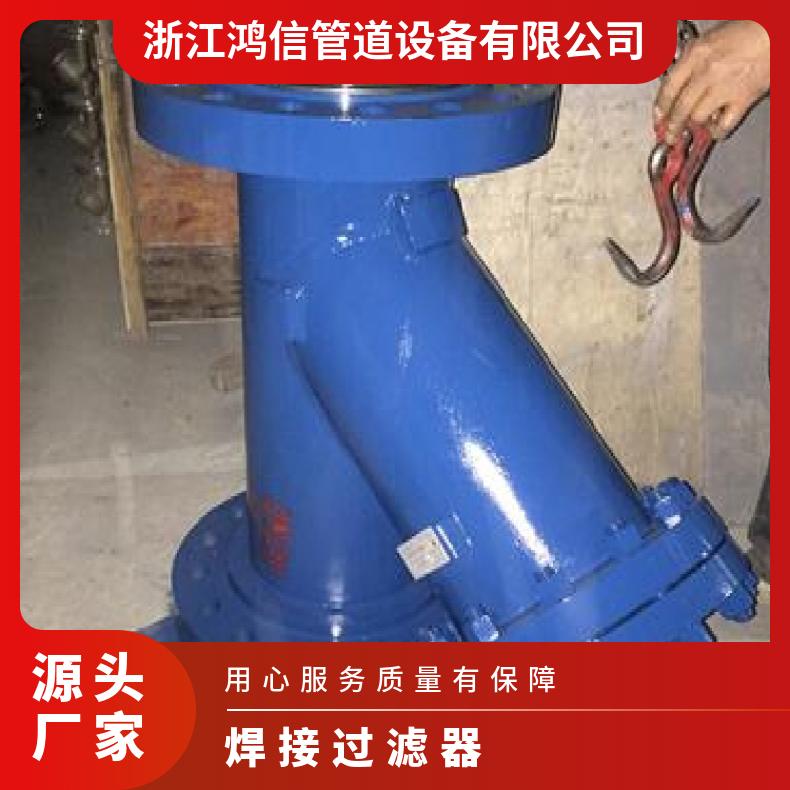 球墨铸铁单袋式过滤器纯化设备便于维护Y型焊接 鸿信管道