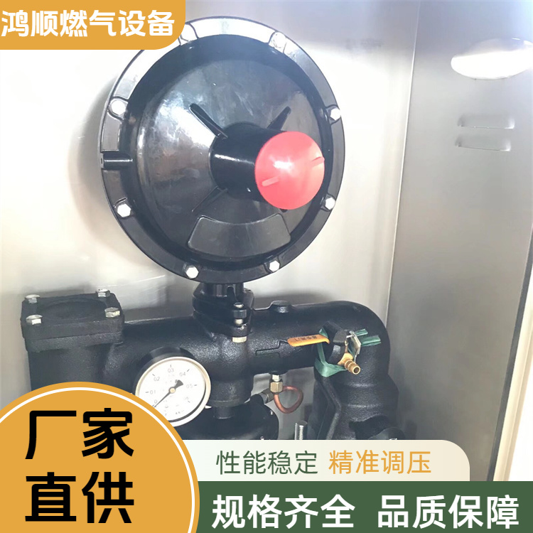 鸿顺 厂家供应 壁挂式燃气调压箱 占地小安装方便 规格齐全
