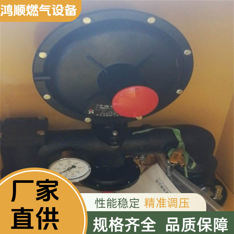 鸿顺 厂家 壁挂式燃气调压箱 占地小安装方便 按需定制
