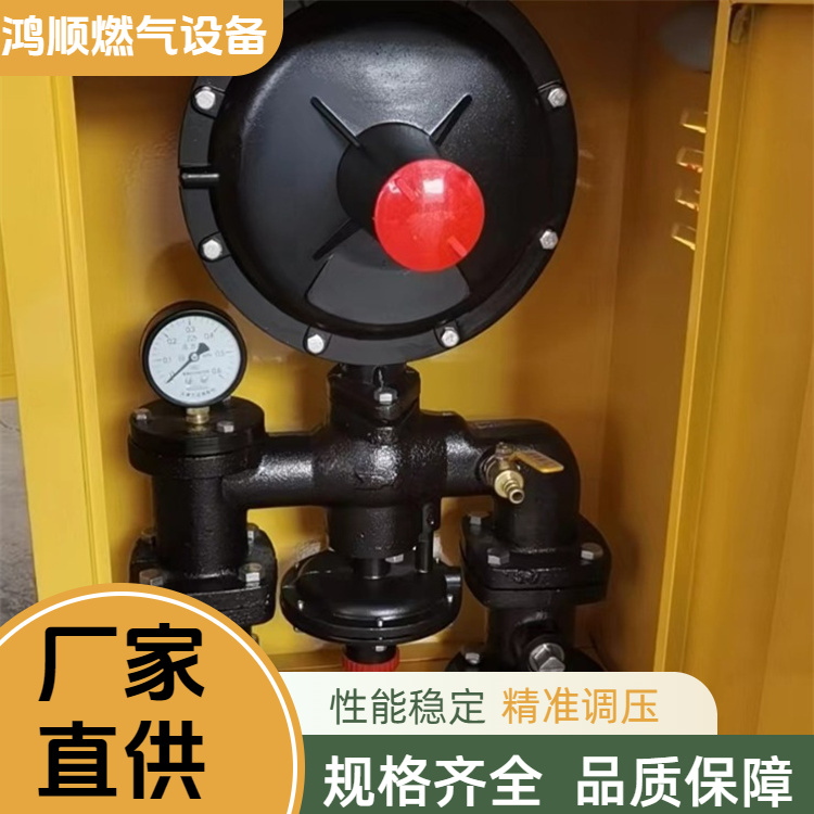 鸿顺 厂家 RX500燃气调压箱 结构紧凑占地小 规格齐全
