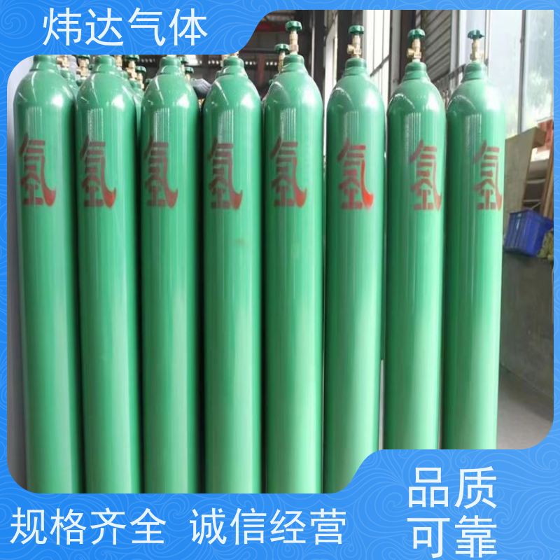 HA3000型高纯氢气发生器 气相色谱仪用 货源充足 规格齐全