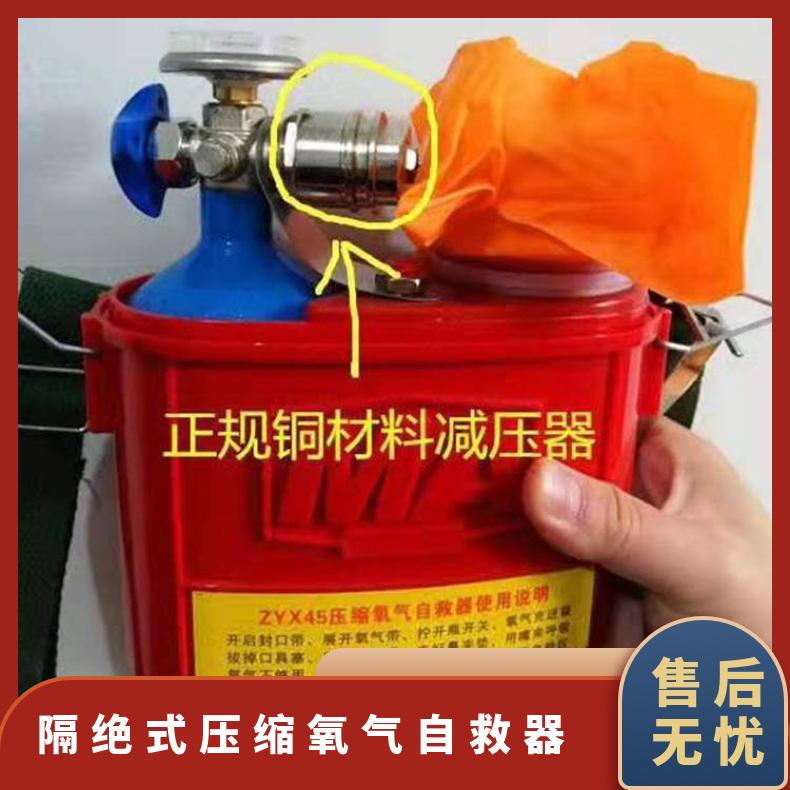 25年新标ZY30XZY30X压缩氧气自救器ZYX45原型号ZYX30体积小方便