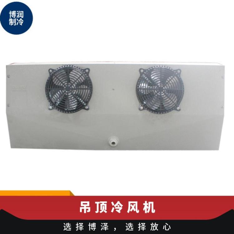 博润制冷氟利昂冷风机冷却物冷藏库DD550换热量足