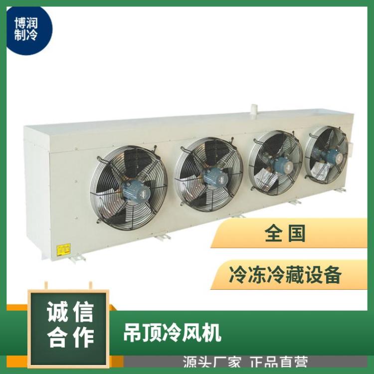 博润制冷热氟融霜冷风机蔬果冷库DD160节能静音