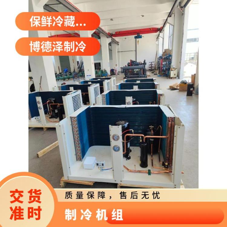 博润制冷压缩机机组酒店超市制冷设备人气新款雪糕冷饮冰粥机
