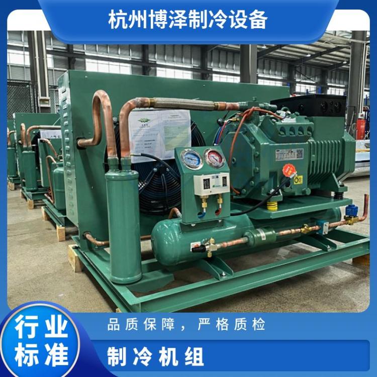 博润冷藏设备风冷式低温冷冻机组生产厂家卧式冰柜岛柜