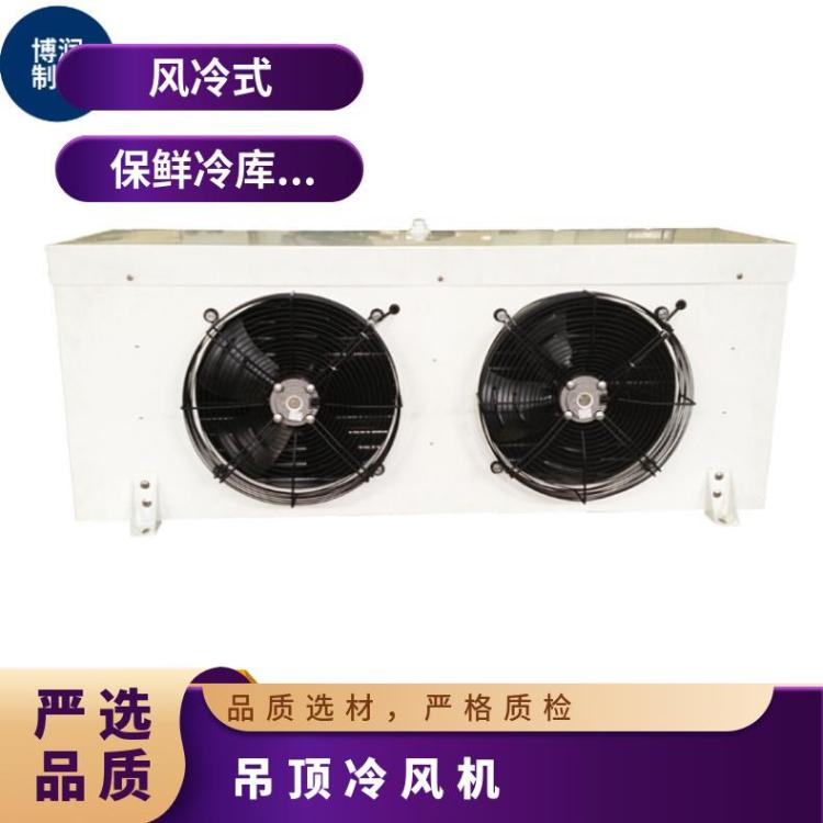 博润制冷DJ低温标准型冷风机医药冷库DD22诚信经营