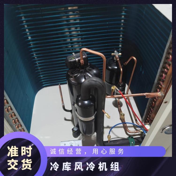 大明制冷速冻低温机B4TES-9-40P蔬菜水果保鲜美优乐压缩机组