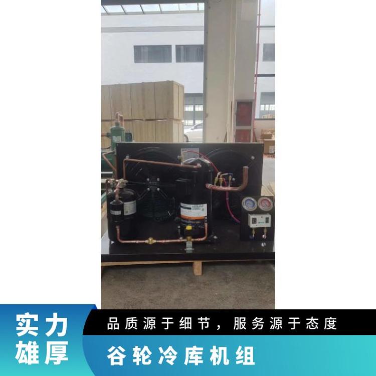 博泽艾默生冷藏设备超低温冷库ZB29KQ-TFD谷轮冷冻ZFI压缩机