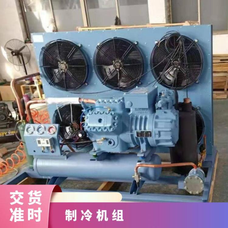 博德泽制冷压缩机机组风冷式冷水机专业快速冷藏库保鲜冷库