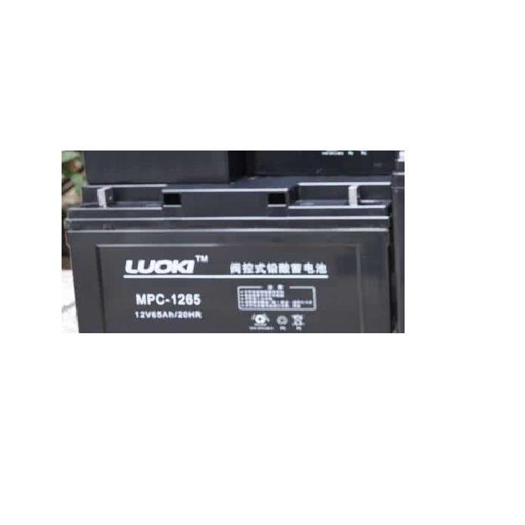 洛奇LUOKI蓄电池MPC12-65 12V65AH免维护ups直流屏电源参数