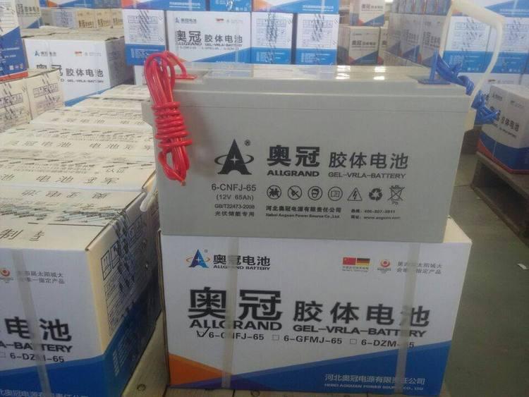 奥冠胶体蓄电池6-CNFJ-65 12V65AH UPS\EPS直流屏电源