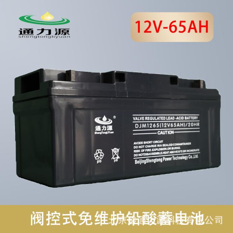 通力源阀控式免维护铅酸电池12V65H UPS电源EPS直流屏蓄电池