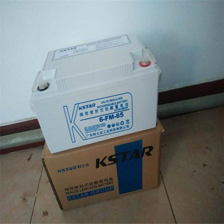 铅酸蓄电池6-FM-65 12V65AH UPS电源配套安装免维护
