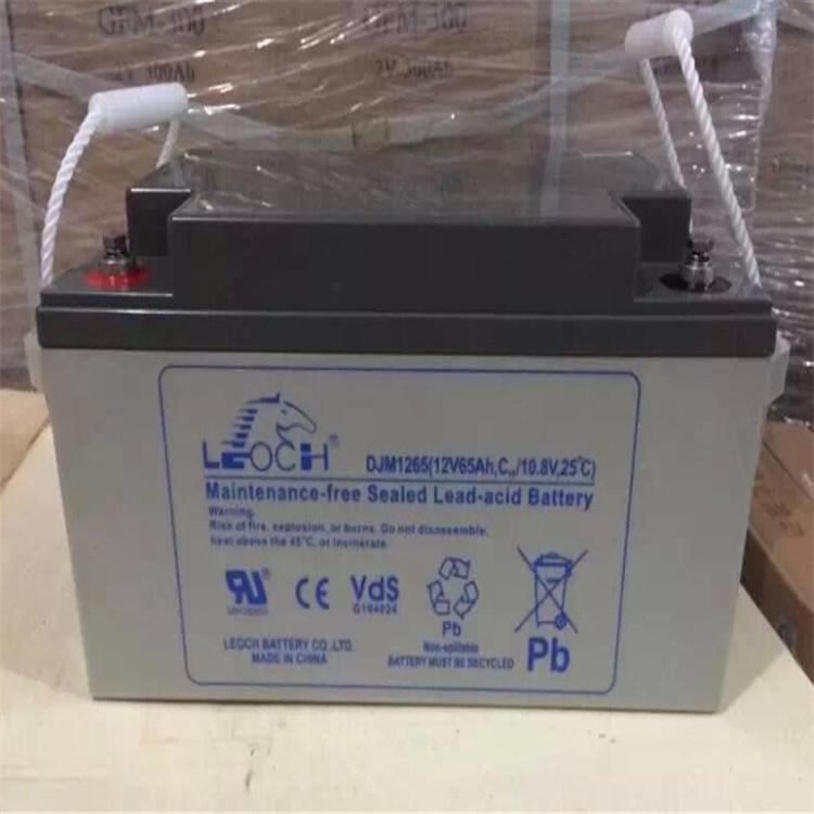 理士蓄电池DJM12100型号12V100AH6KVAups电源放电时间
