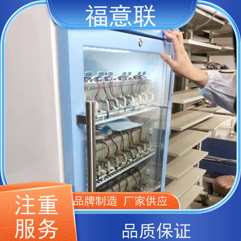 锂电池25度恒温测试柜 高校科研实验室用 430L 大容量多通道 福意联
