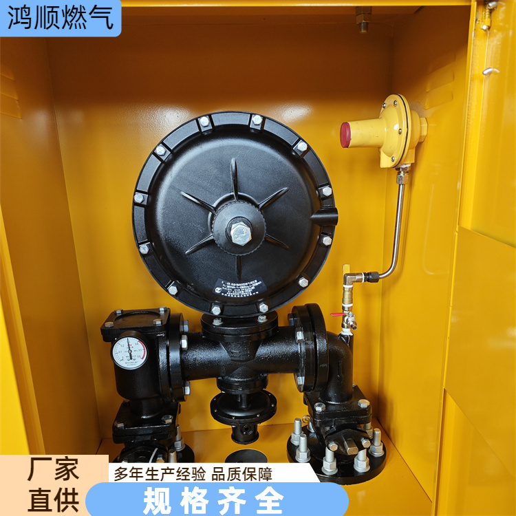 鸿顺 厂家供应 RX燃气调压箱 耐用安全坚固 规格齐全