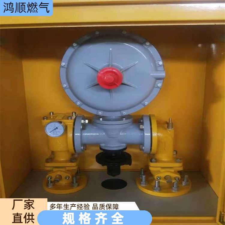 鸿顺 厂家供应 天然气调压箱 后期维护方便成本低 按需定制