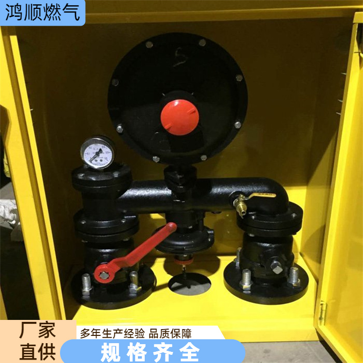 鸿顺 厂家 落地式燃气调压箱 结构合理坚固耐用 按需定制