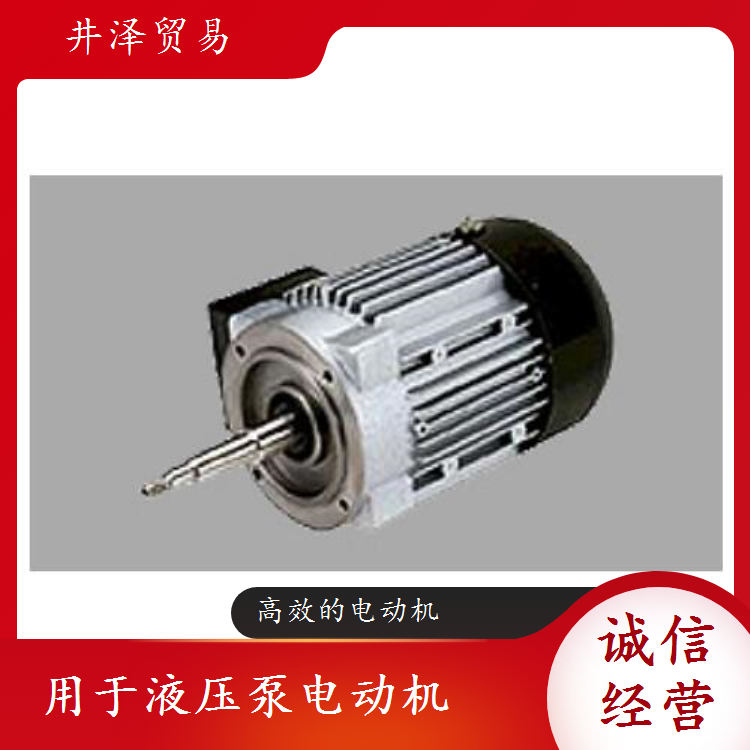 液压泵电动机SANSO三相电机TFF4101AS 高效低噪