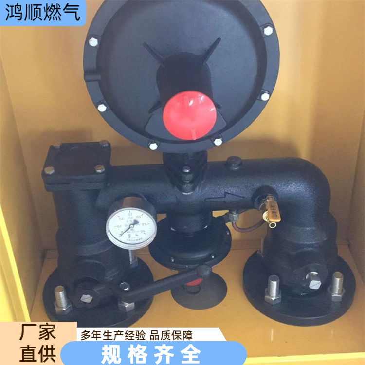 鸿顺 厂家供应 壁挂式燃气调压箱 耐用安全坚固 规格齐全