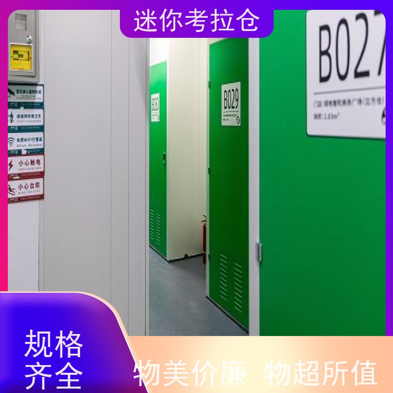 迷你考拉仓库哪家好支持定制详情电联深圳智能仓