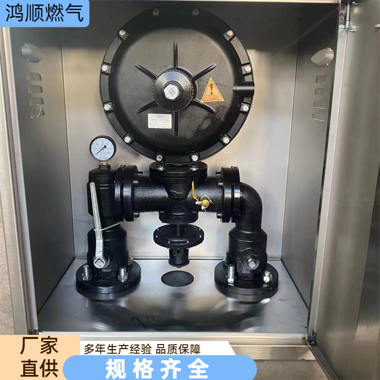 鸿顺 厂家 锅炉工业燃气调压箱 占地小安装方便 规格齐全
