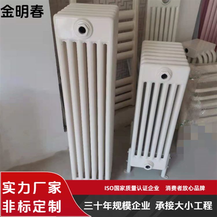 金明春 厂家供应 防腐防锈耐用 按需定制 GZ6030暖气片