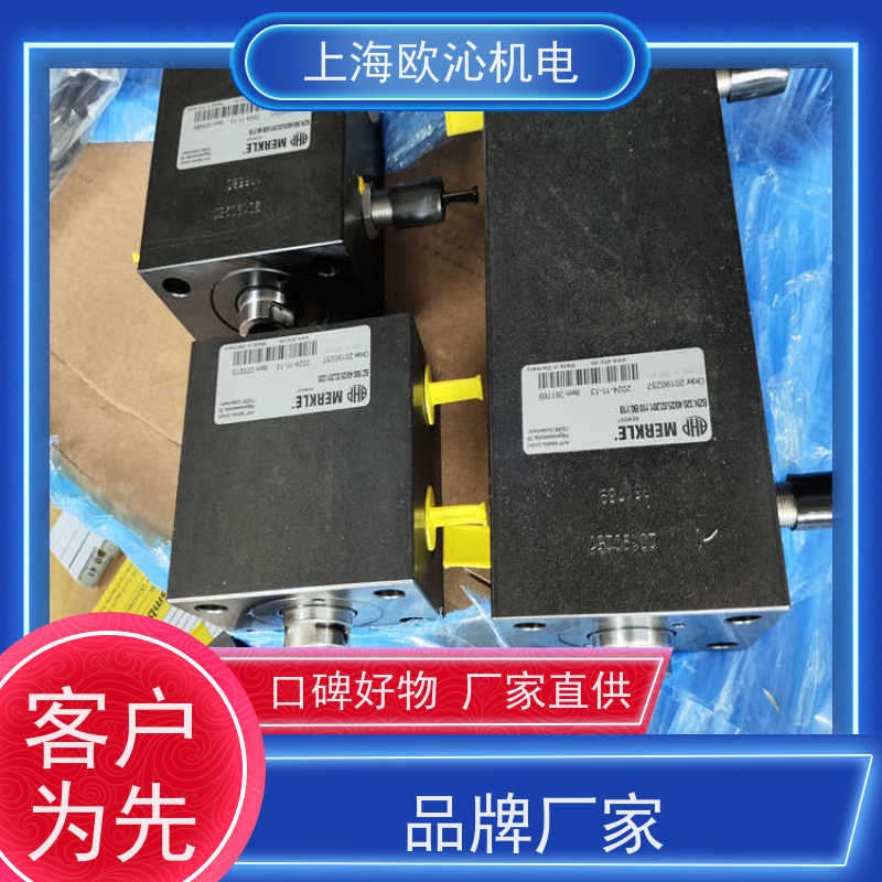 MERKLE默 克尔圆柱方形液压缸BZ 500.25/16.25.206.100诚信经营