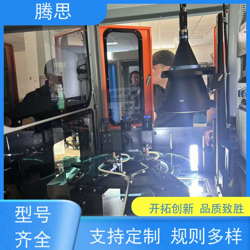 腾思 紧固件ccd光学筛选机 五金塑胶件外观尺寸 质量保证 源头厂家