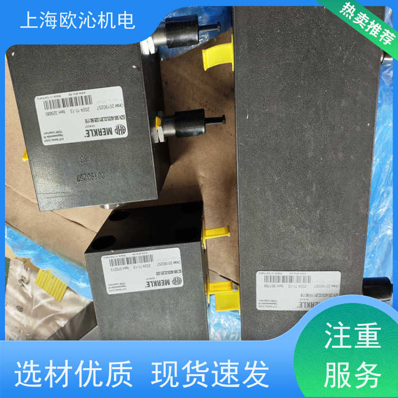 MERKLE默克尔整体式液压缸203811BZ50025/1625206100技术选型