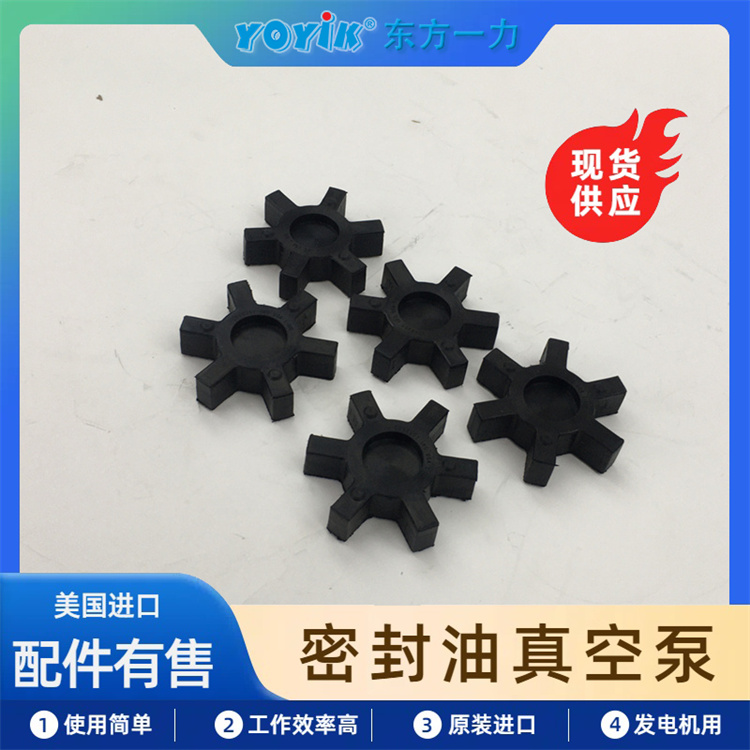  BEACH RUSS密封油真空泵WS-30 汽轮发电机组密封油系统配件 一力供