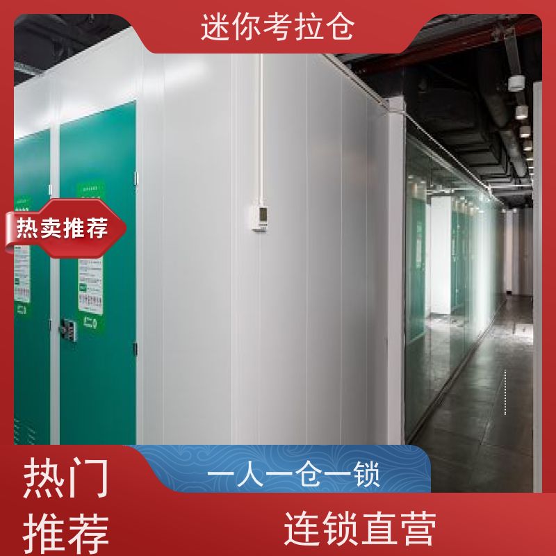 迷你考拉仓出租随存随取广州搬家行李寄存仓库