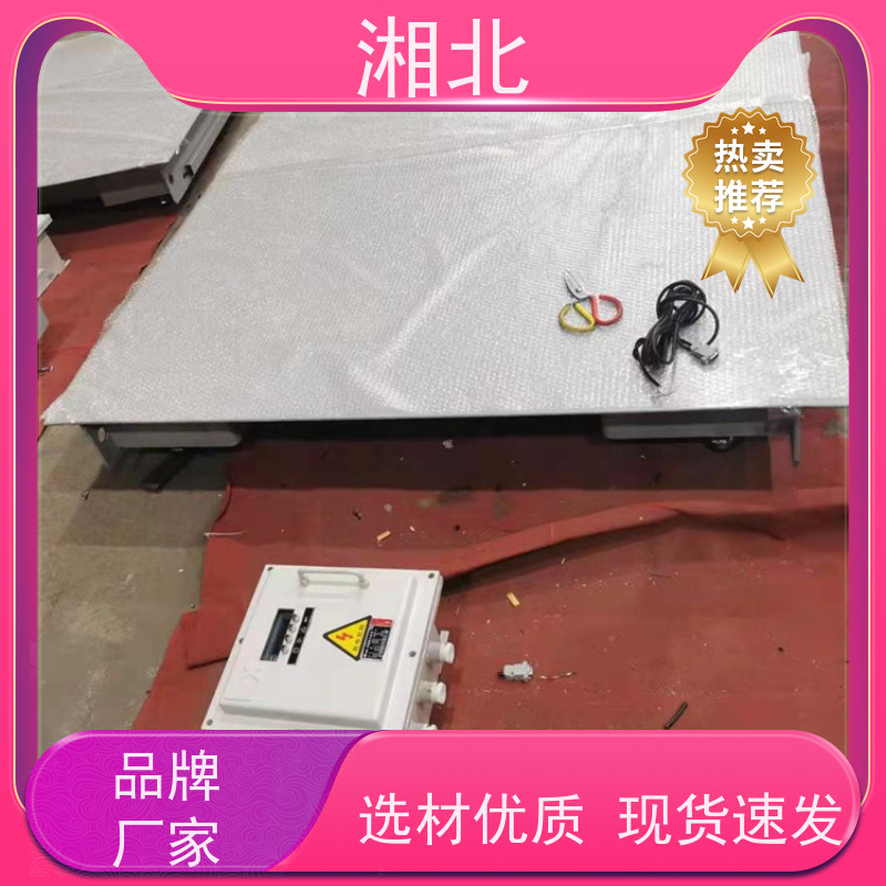 称重仪移动地磅 仪表自带打印机 误差小精度高 湘北衡器