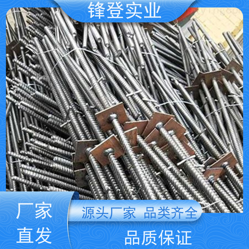 批量供应 对拉螺栓 新型穿墙通丝防水丝杆 粗牙细牙可定制 地下管廊